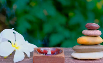 Portada de la noticia